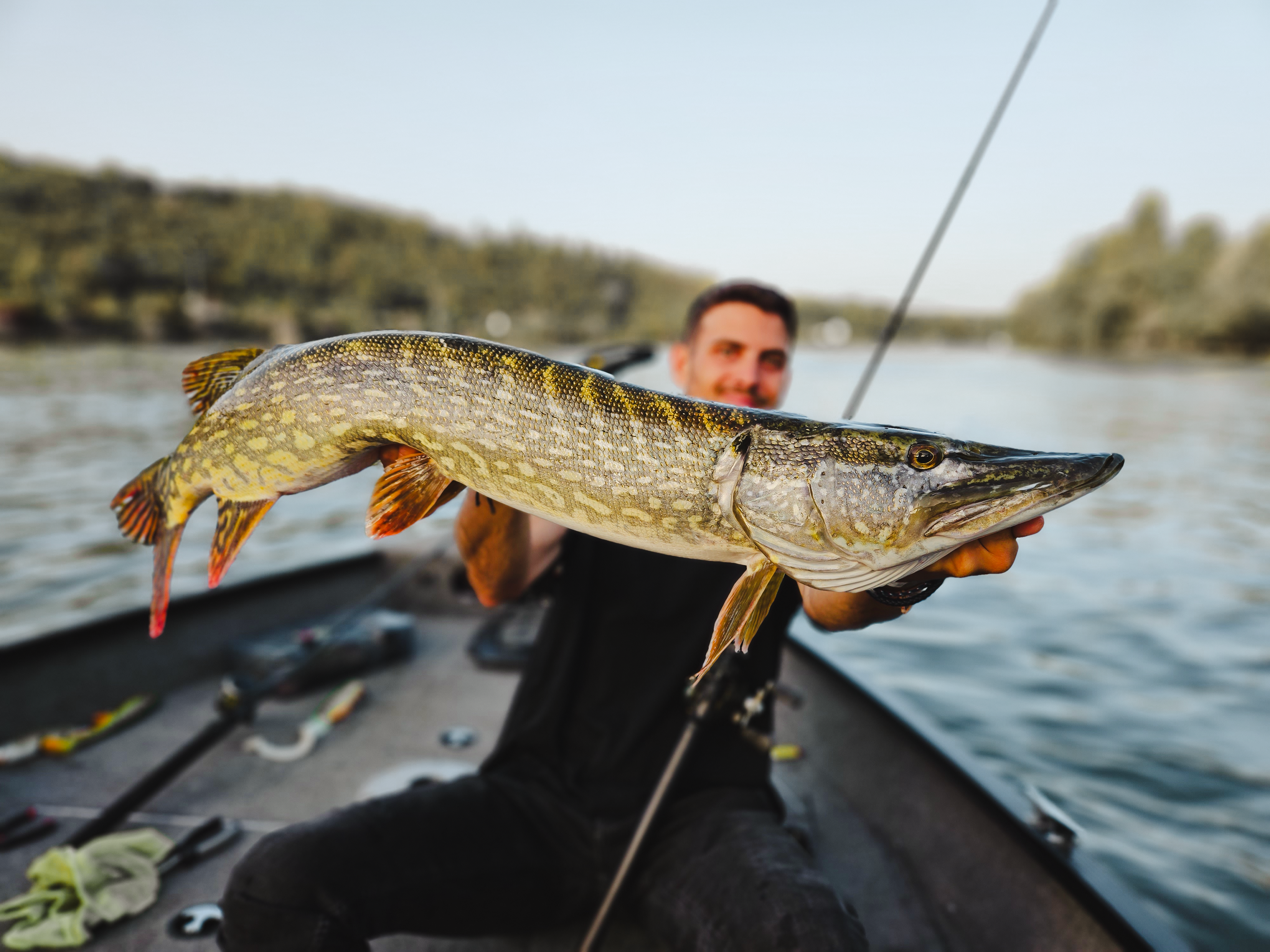 WKS SWB 807 IM : L’Excellence du Rodbuilding pour la Traque des Gros Brochets