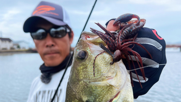 Black bass : six leurres qui couvrent l'essentiel de votre saison
