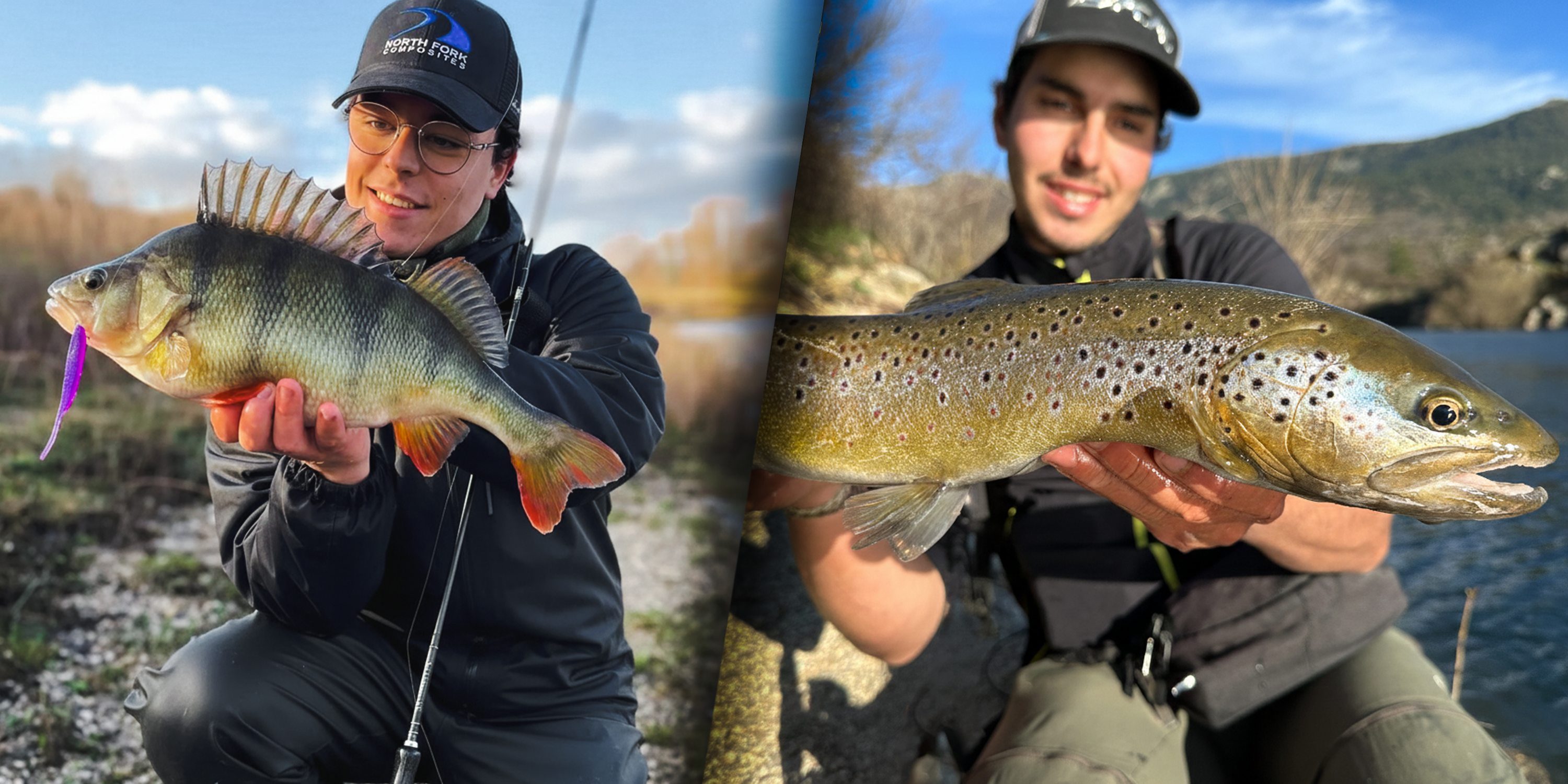 Zoom sur la WKS-DS721-1 X-Ray : La quintessence de la résonance et de la légèreté