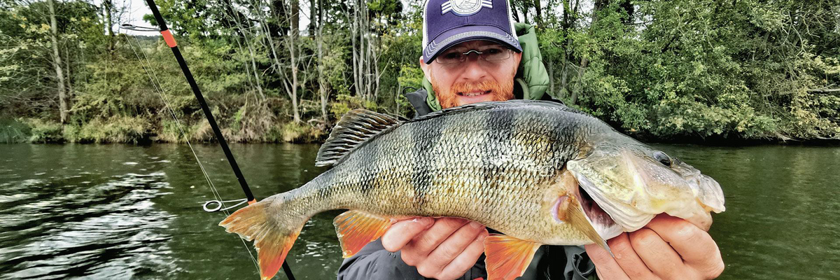 Le powerfishing multi-espèces au crank