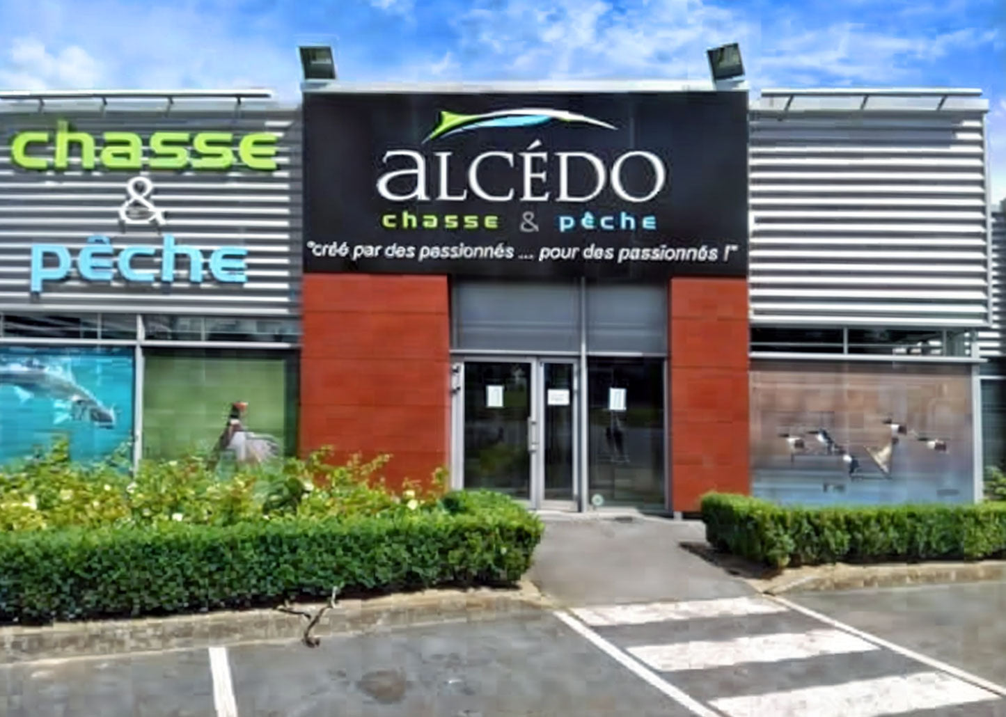 Alcedo - St Omer