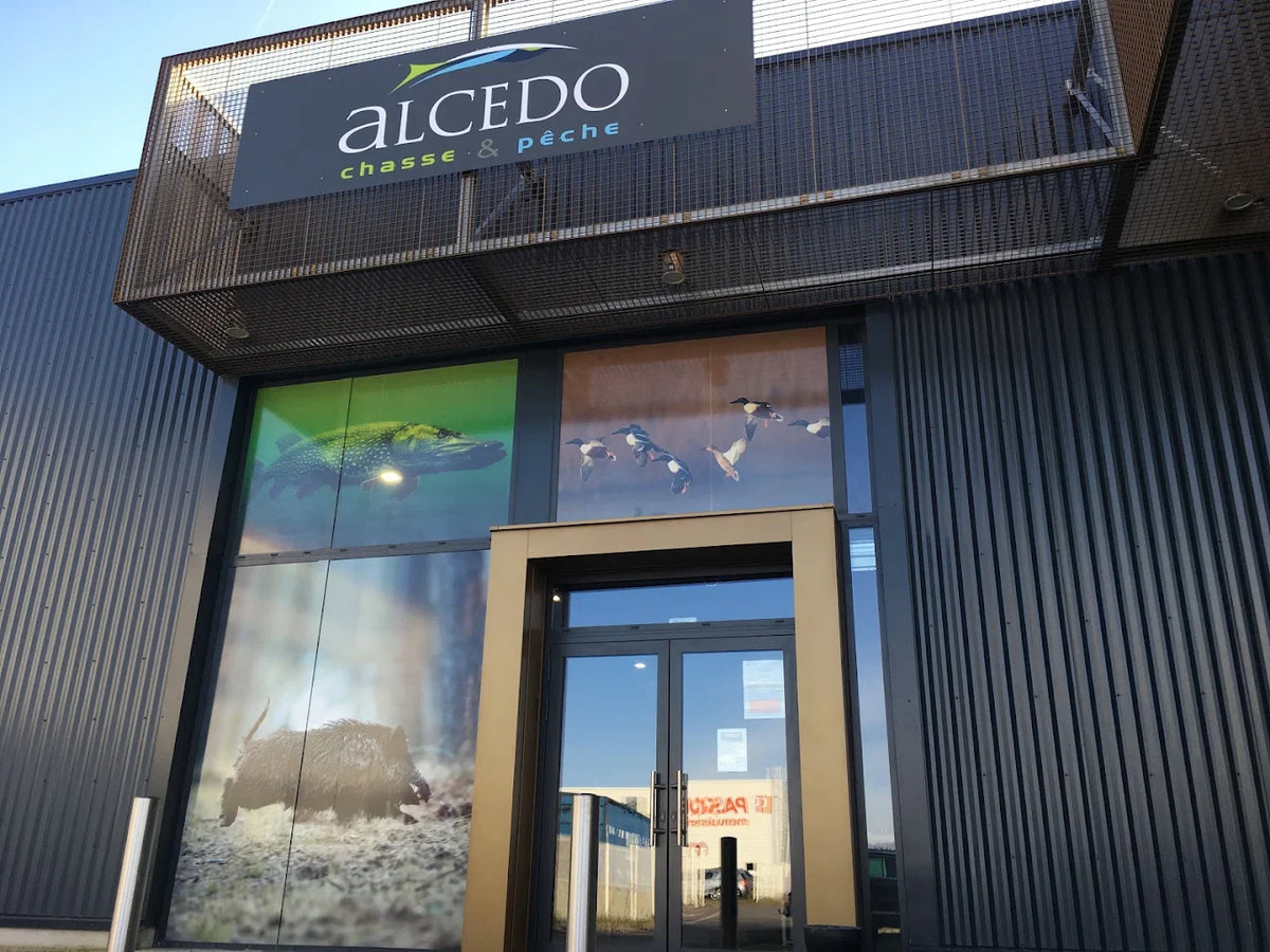 Alcedo - Abbeville