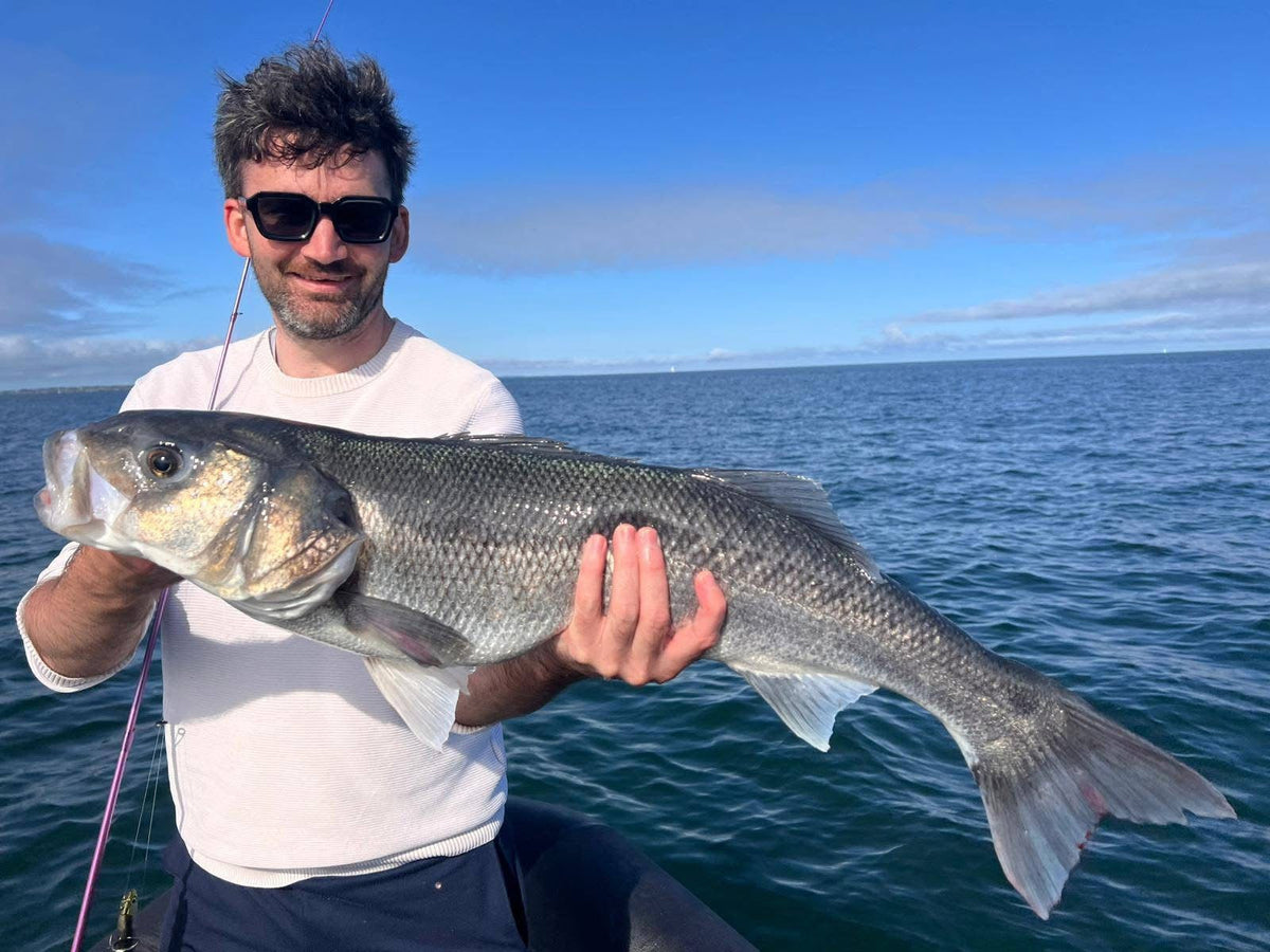 Bar de 84 cm pris au leurre et présenté à bord d'un bateau