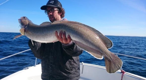 Une saison sur la côte Basque avec Rodhouse