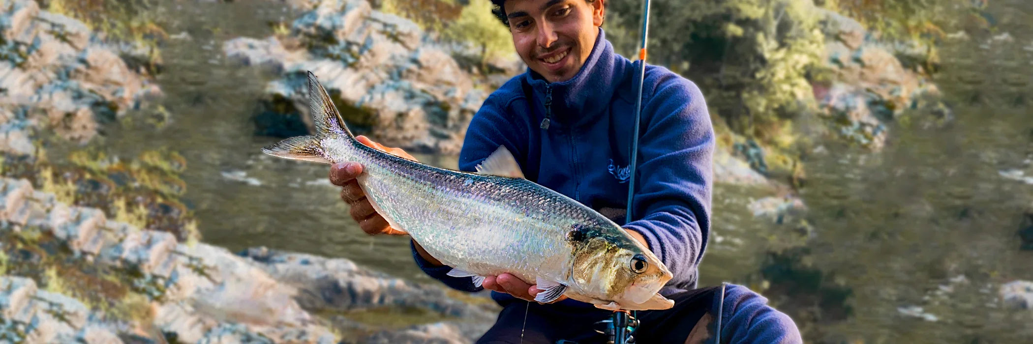 Cannes à pêche pour l'Alose