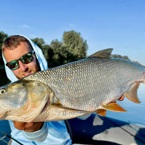 Fishing rods for Asp