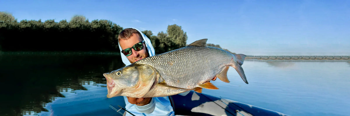 Fishing rods for Asp