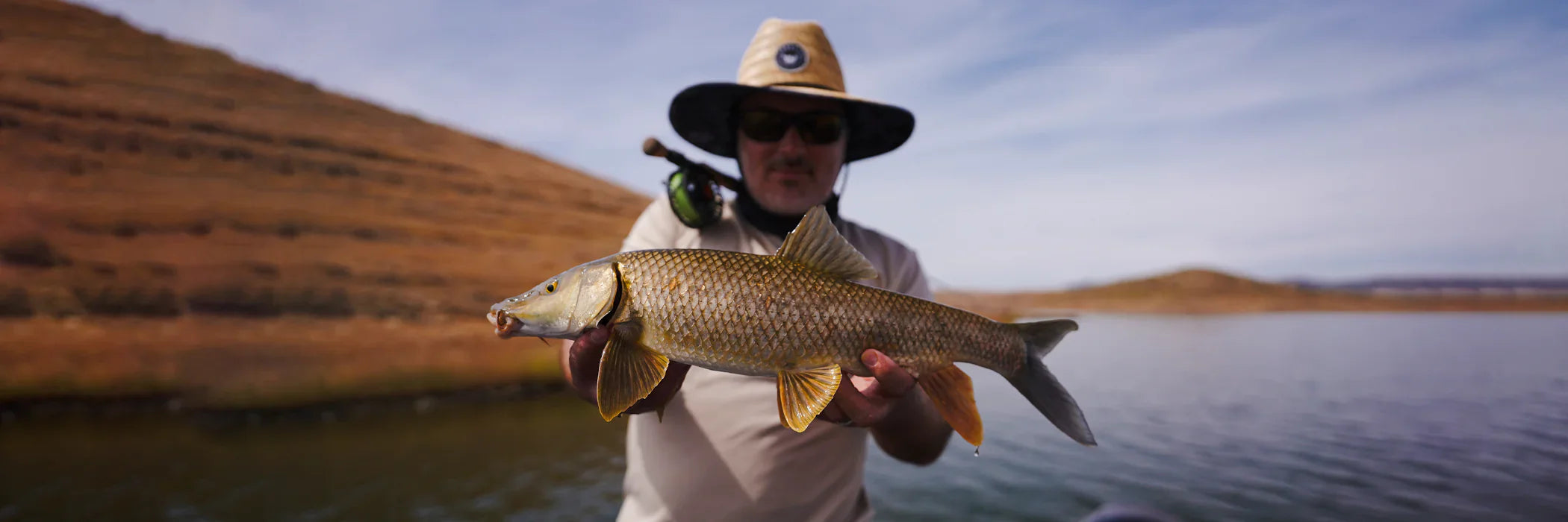 Cannes à pêche pour le Barbeau