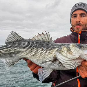 Fishing rods for Sea bass
