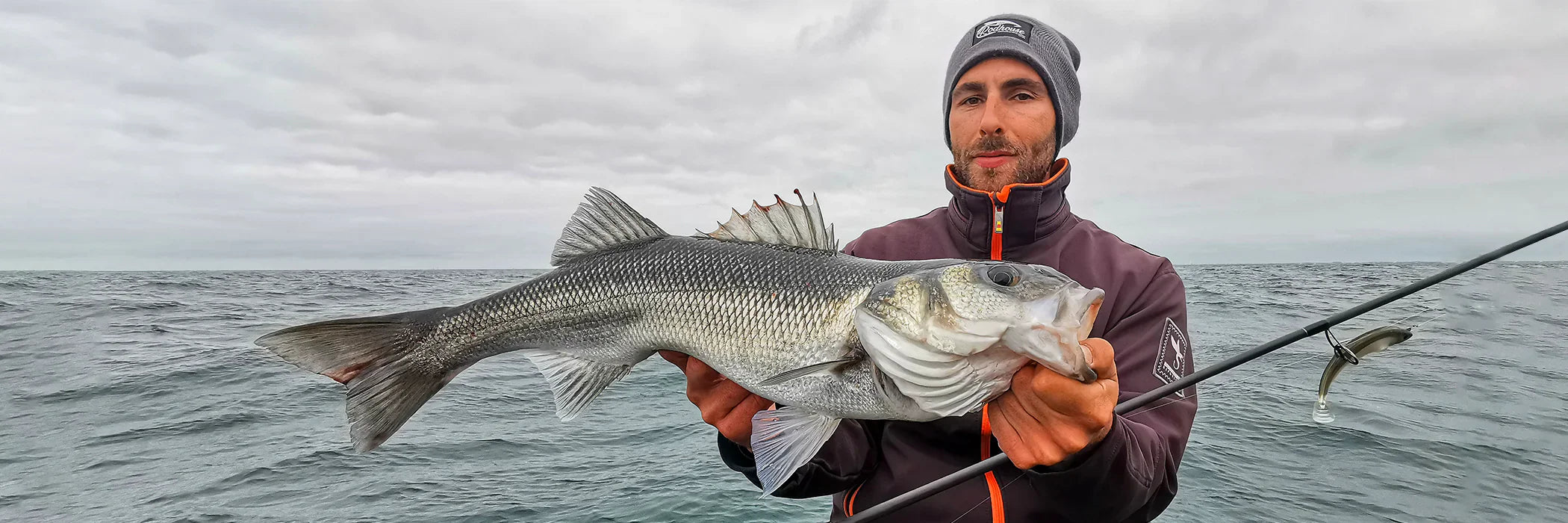 Cannes à pêche pour le Bar