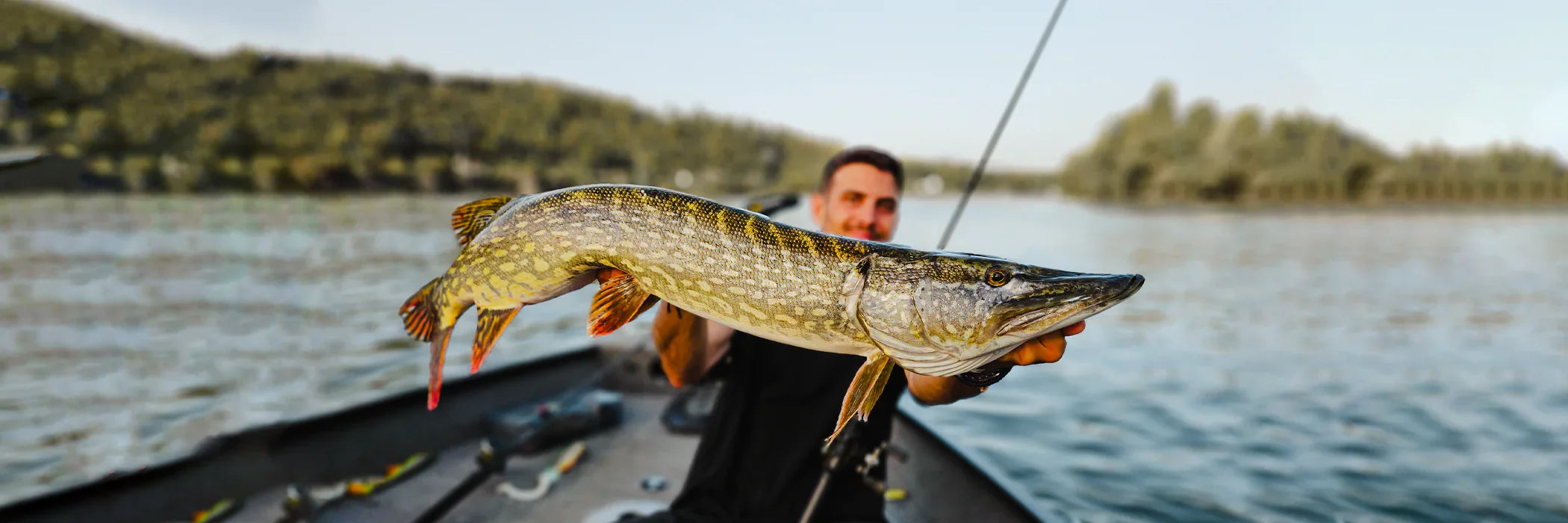 Cannes à pêche pour le Brochet