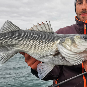 Blanks for linear fishing