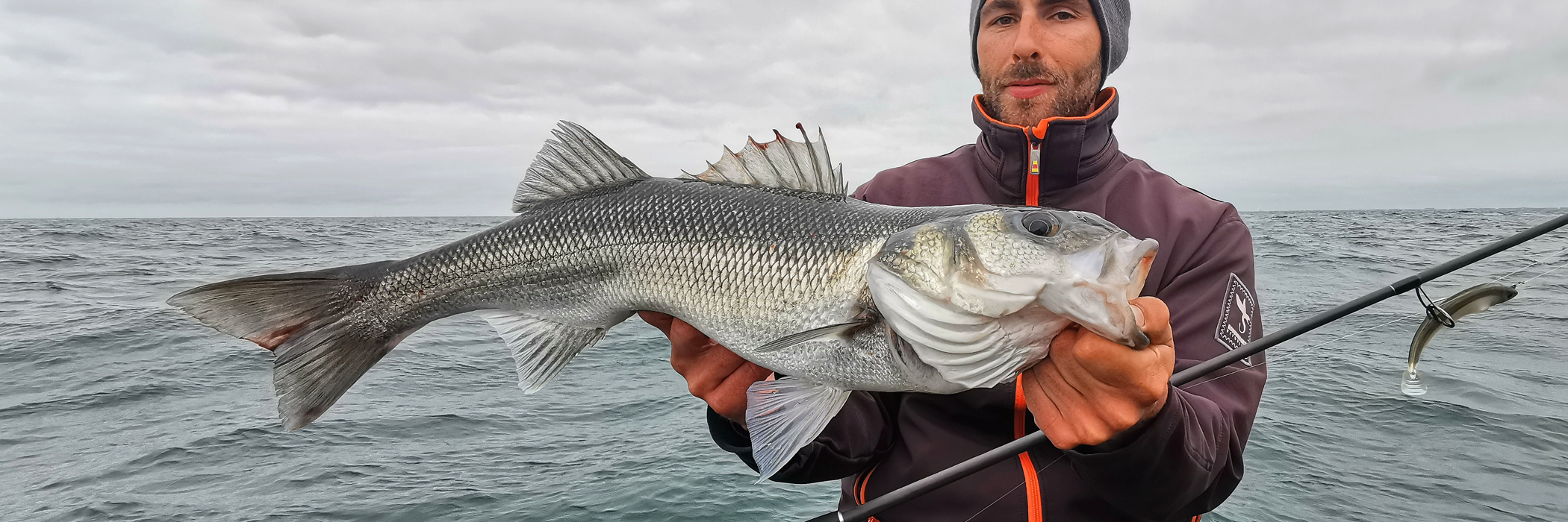 Blanks pour la pêche en Linéaire