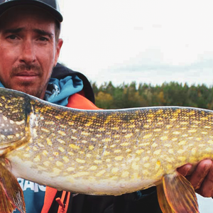 Blanks for deadbaiting fishing