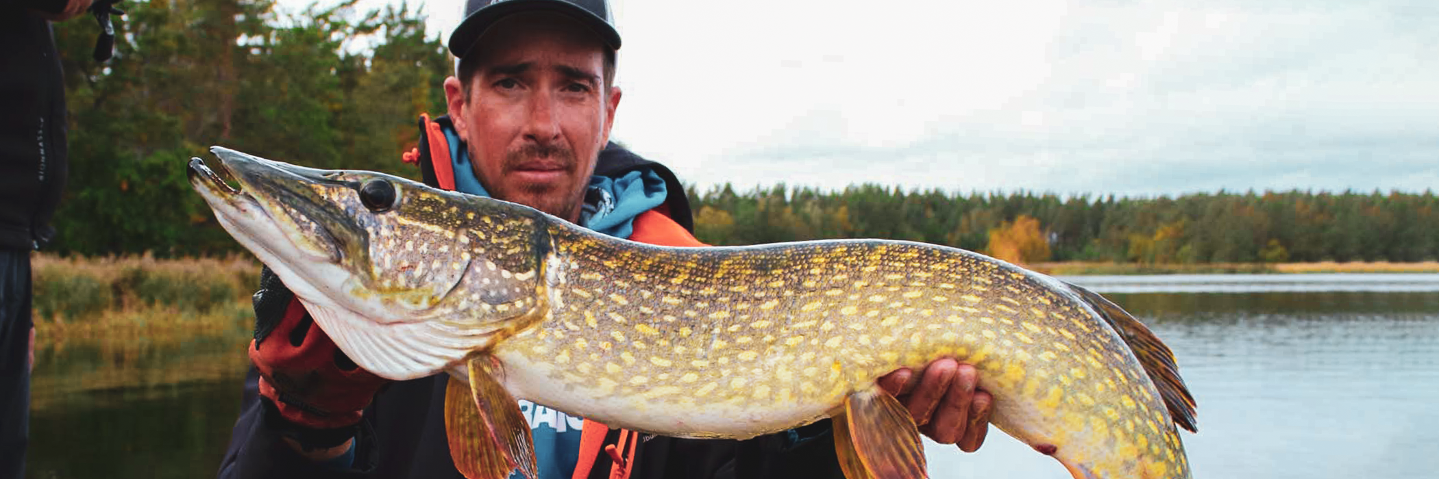 Blanks pour la pêche au Mort Manié