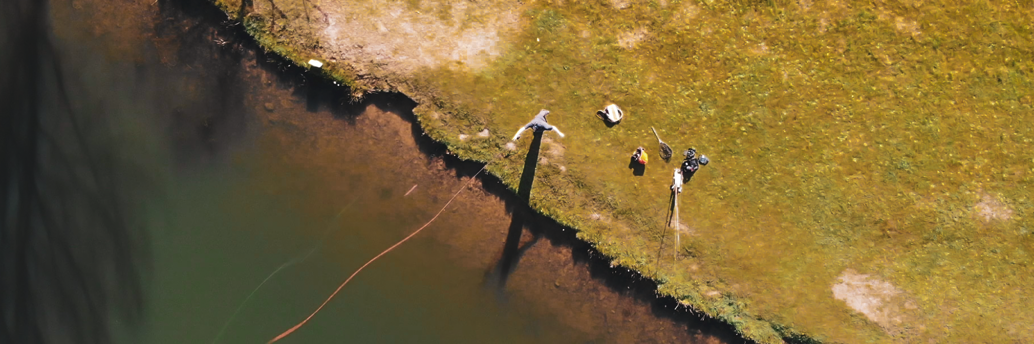Blanks pour la pêche en Réservoir