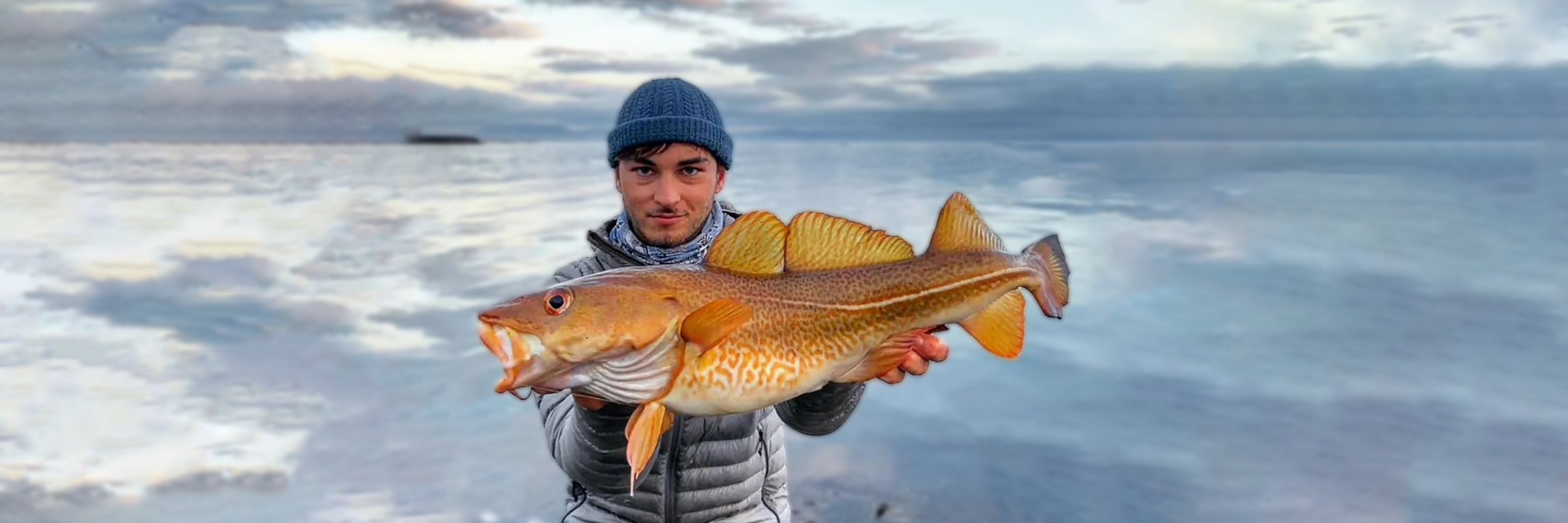 Blanks pour le Cabillaud