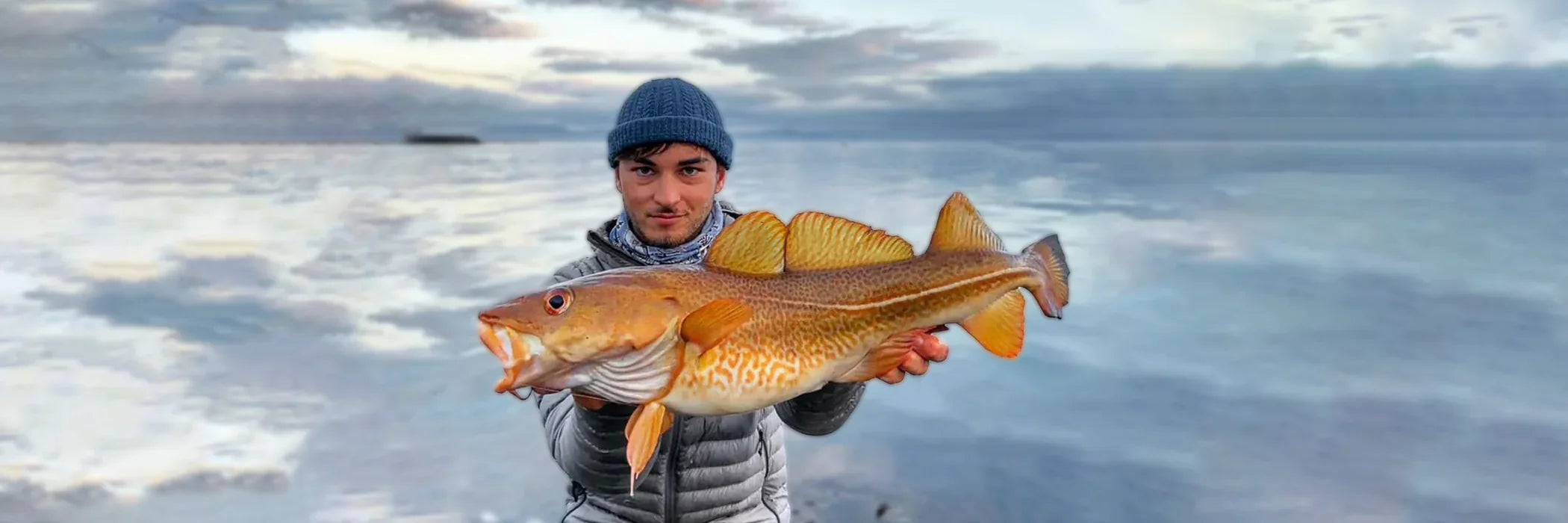 Cannes à pêche pour le Cabillaud