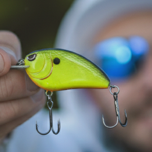 Leurres crankbait