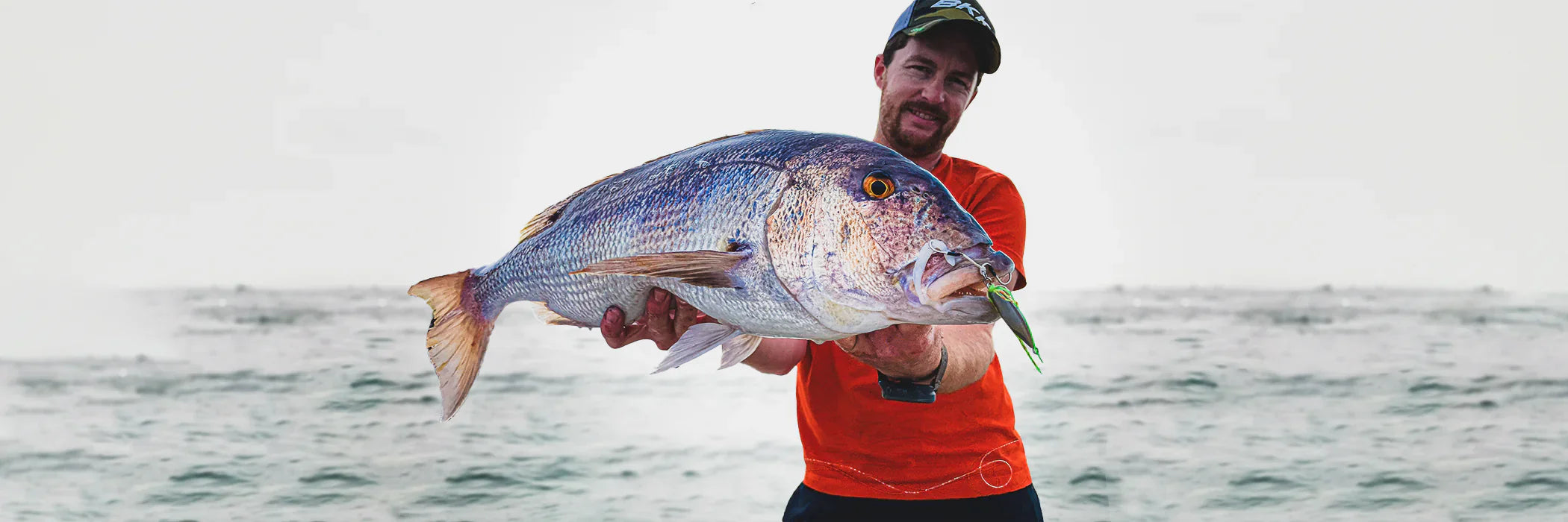 Cannes à pêche pour le Denti