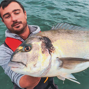 Fishing rods for Gilthead bream