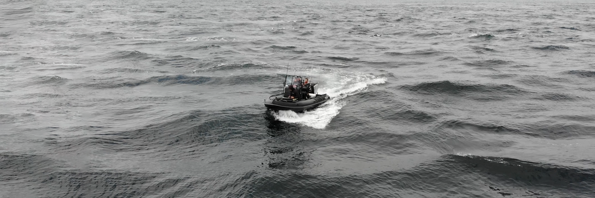 Dorada