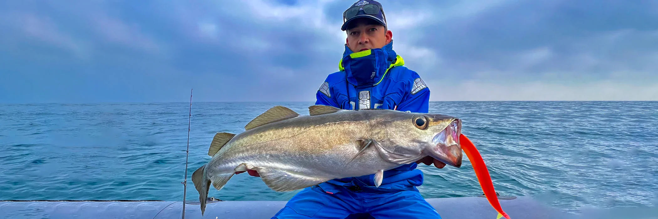 Cannes à pêche pour le Lieu Jaune