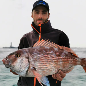 Fishing rods for Red bream / Porgy