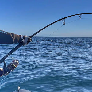 Fishing rods for Sharks