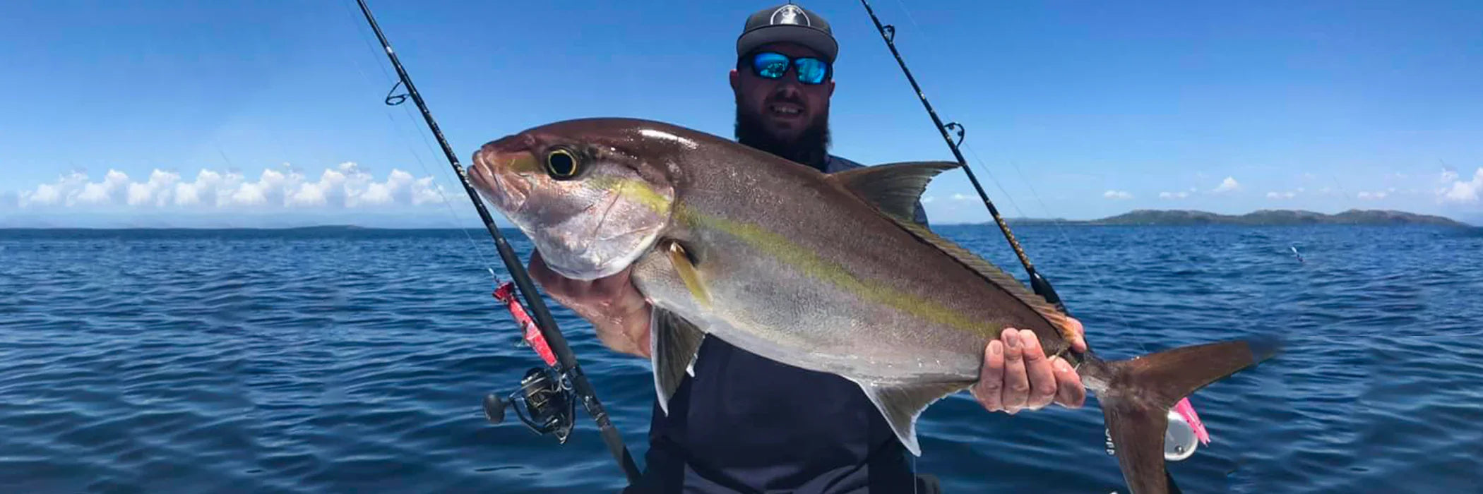 Cannes à pêche pour la Sériole