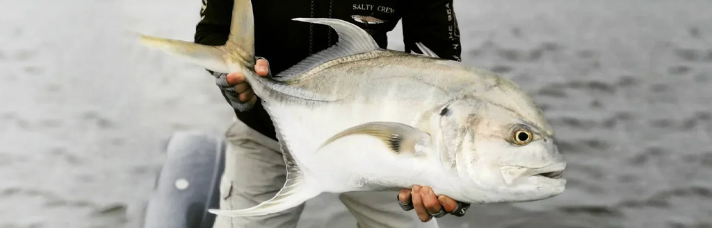 Leurres pour le Permit