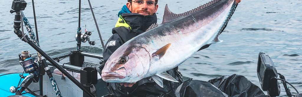 Leurres pour la Seriole