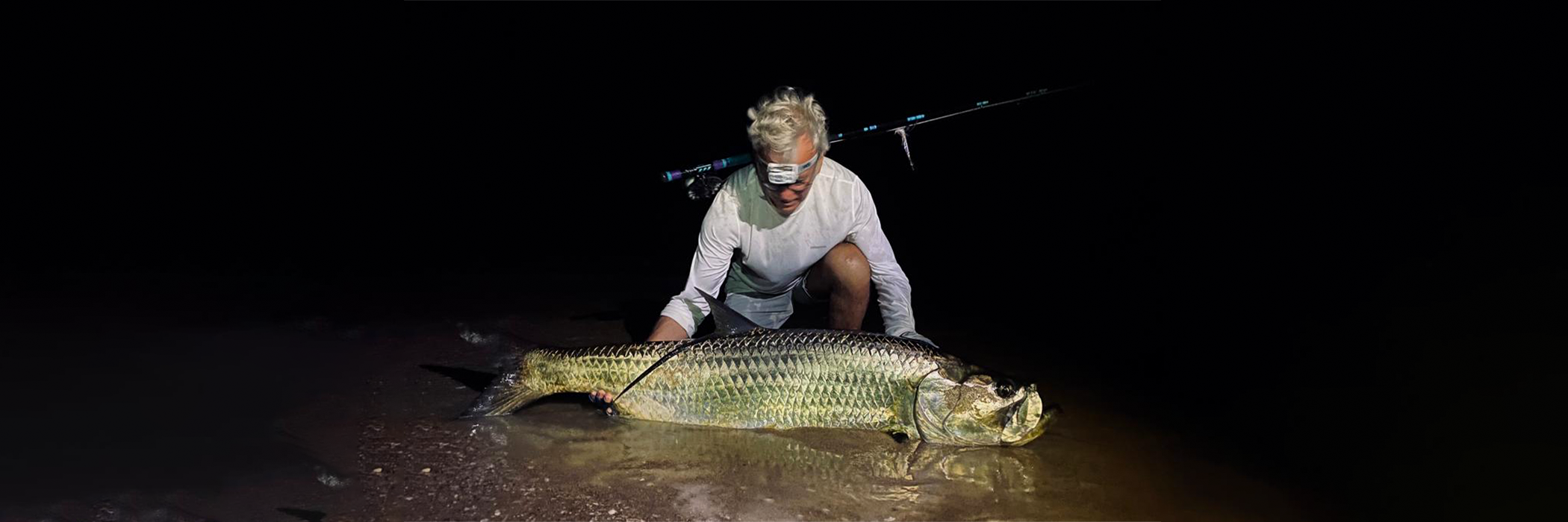 Blanks pour le Tarpon