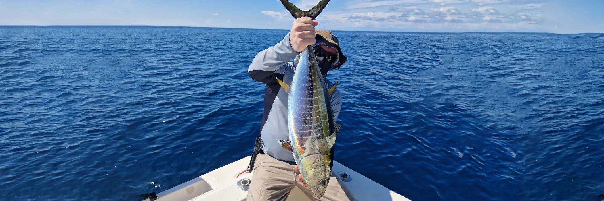 Cannes à pêche pour le Thon Jaune