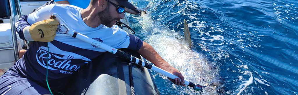 Blanks for live bait fishing
