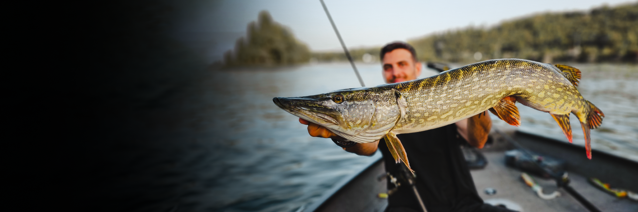 Leurres pour le Brochet