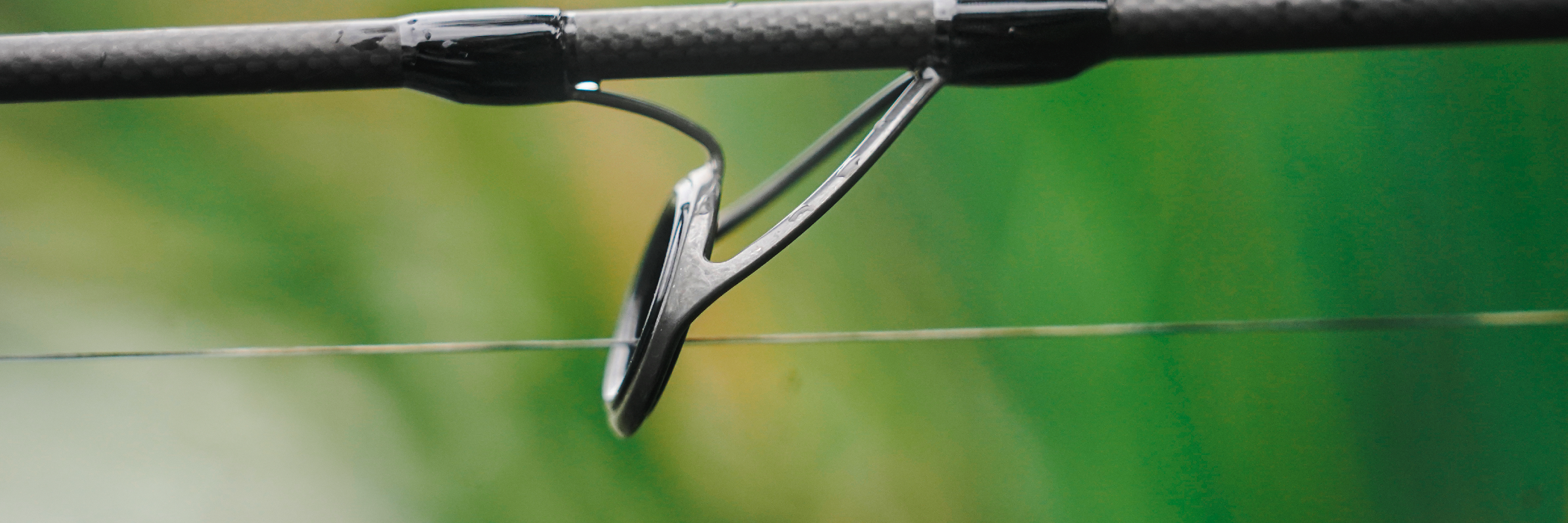 Blanks pour la pêche à la Carpe