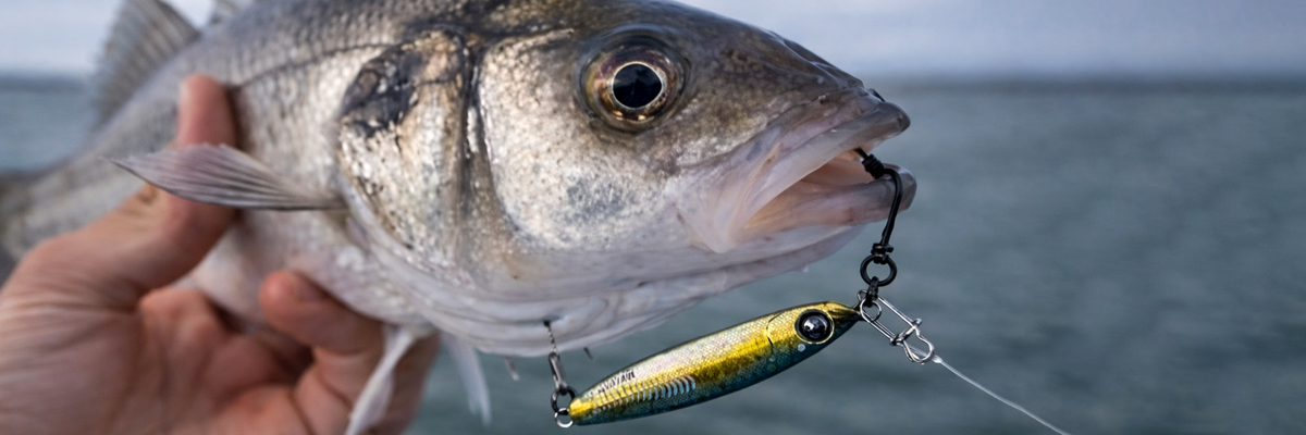 Jigs / Casting jigs