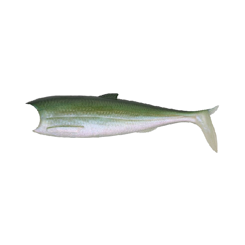Breizh Shad Gummiköder