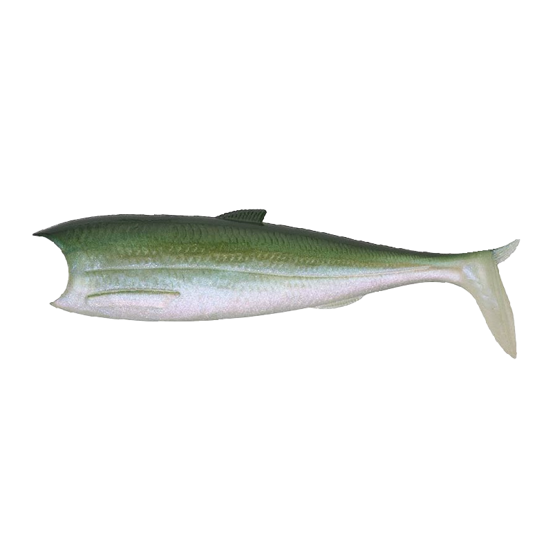 Breizh Shad Gummiköder