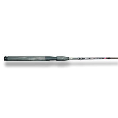 BWS DSR 6100-1