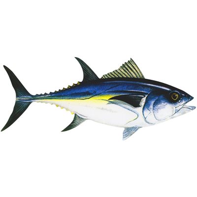 Sticker Bluefin Tuna