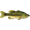 Bass