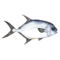 Permit