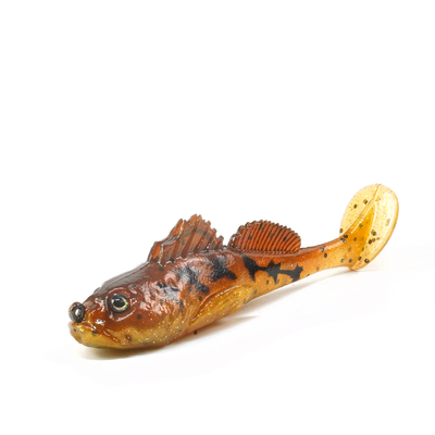 Blenny Shad