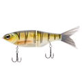KGB Chad shad 180