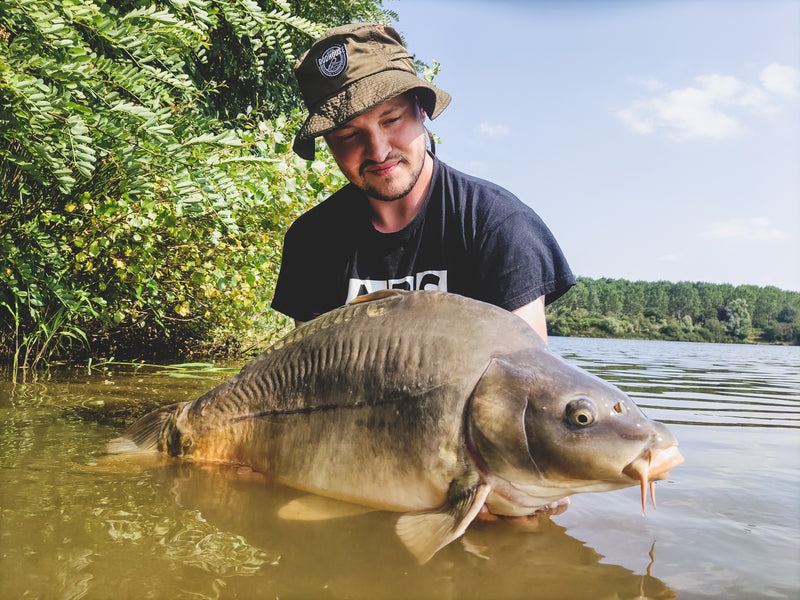 Carp