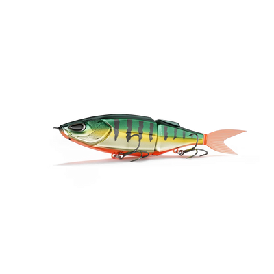 Poisson Nageur Nays TRN130