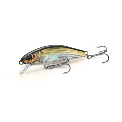 RNN 50