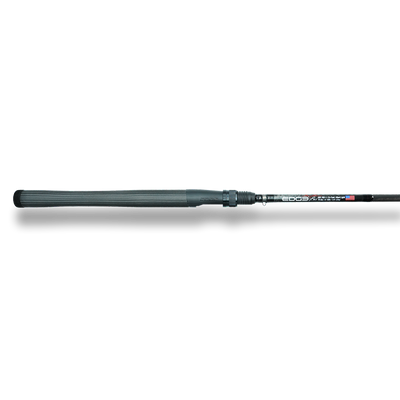 FSS ISR 703-1